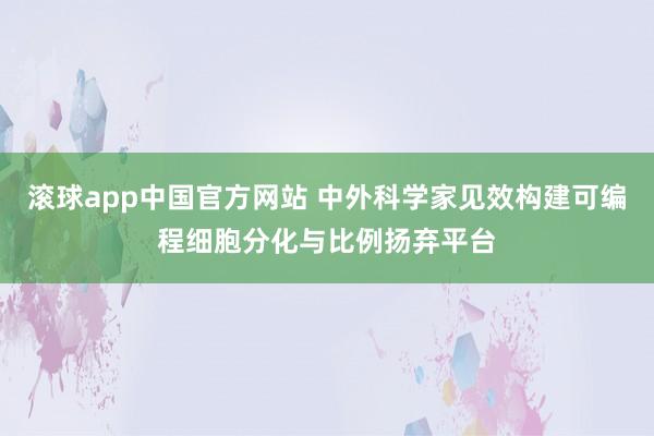滚球app中国官方网站 中外科学家见效构建可编程细胞分化与比例扬弃平台