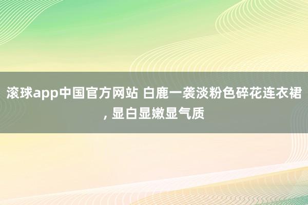 滚球app中国官方网站 白鹿一袭淡粉色碎花连衣裙，<a href=