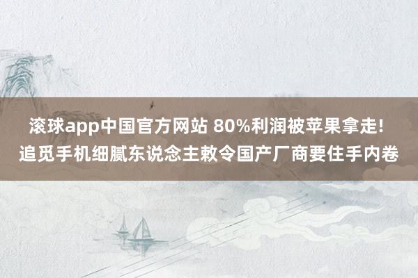 滚球app中国官方网站 80%利润被苹果拿走! 追觅手机细腻东说念主敕令国产厂商要住手内卷