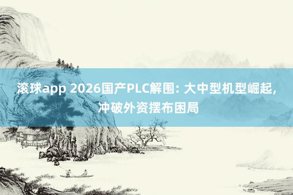 滚球app 2026国产PLC解围: 大中型机型崛起， 冲破外资摆布困局