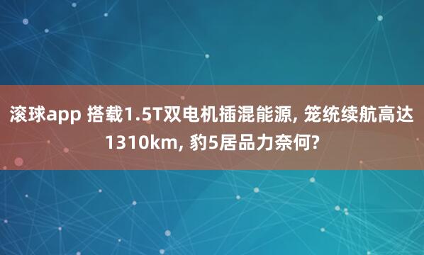 滚球app 搭载1.5T双电机插混能源, 笼统续航高达1310km, 豹5居品力奈何?
