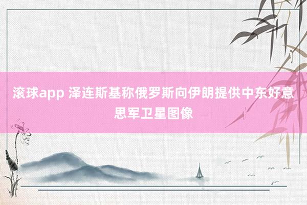 滚球app 泽连斯基称俄罗斯向伊朗提供中东好意思军卫星图像