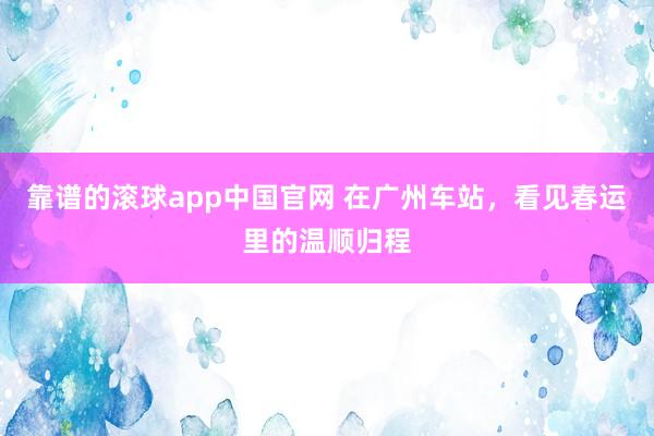 靠谱的滚球app中国官网 在广州车站，看见春运里的温顺归程
