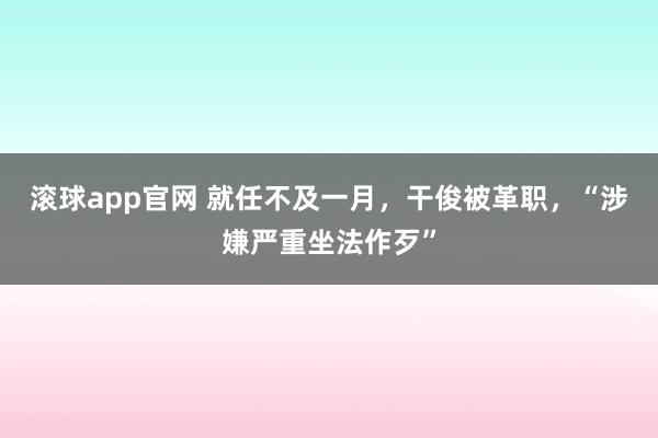 滚球app官网 就任不及一月，干俊被革职，“涉嫌严重坐法作歹”