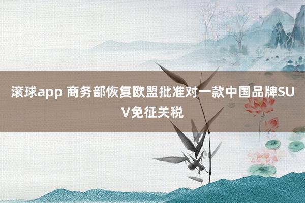 滚球app 商务部恢复欧盟批准对一款中国品牌SUV免征关税