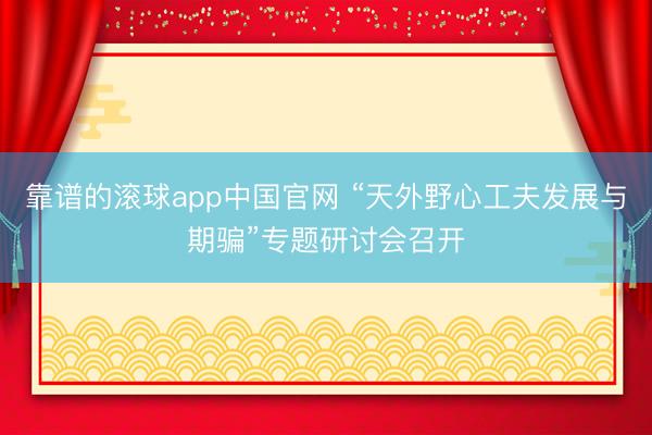 靠谱的滚球app中国官网 “天外野心工夫发展与期骗”专题研讨会召开