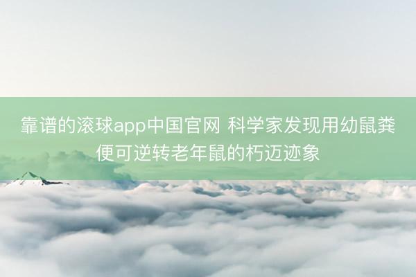靠谱的滚球app中国官网 科学家发现用幼鼠粪便可逆转老年鼠的朽迈迹象