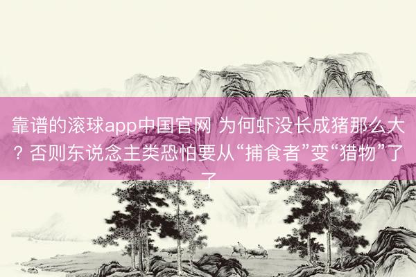 靠谱的滚球app中国官网 为何虾没长成猪那么大? 否则东说念主类恐怕要从“捕食者”变“猎物”了