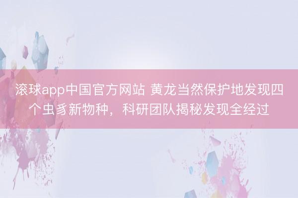 滚球app中国官方网站 黄龙当然保护地发现四个虫豸新物种，科研团队揭秘发现全经过