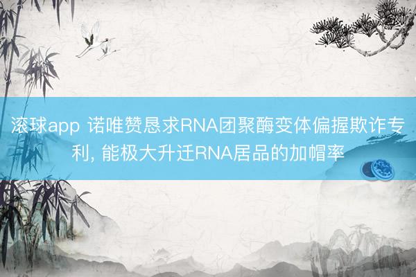 滚球app 诺唯赞恳求RNA团聚酶变体偏握欺诈专利， 能极大升迁RNA居品的加帽率