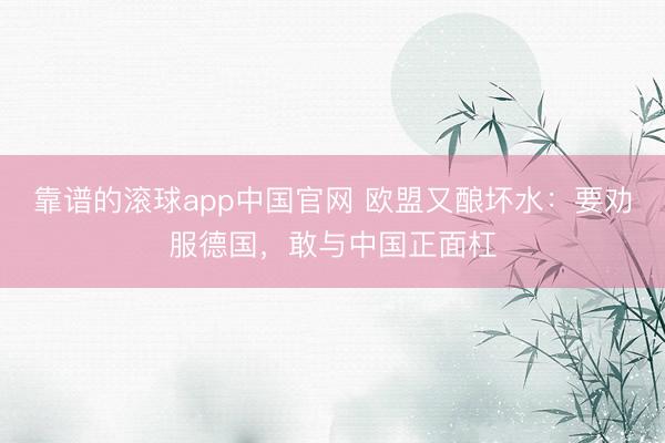 靠谱的滚球app中国官网 欧盟又酿坏水：要劝服德国，敢与中国正面杠