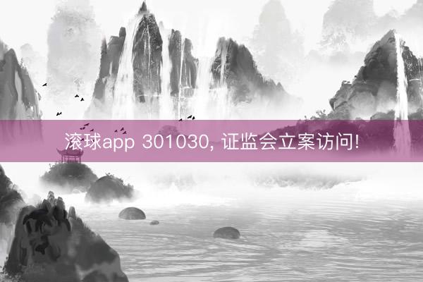 滚球app 301030， 证监会立案访问!