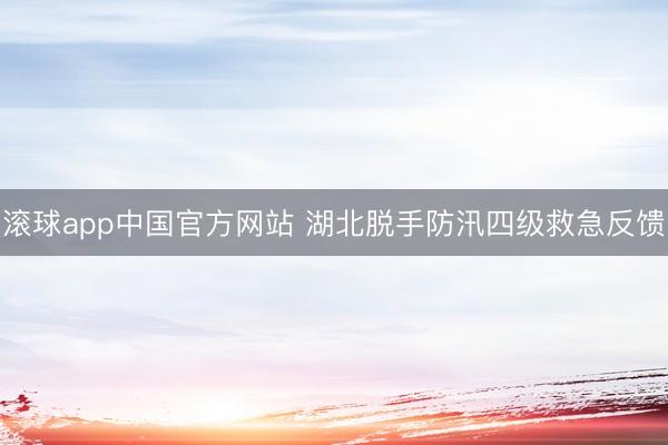 滚球app中国官方网站 湖北脱手防汛四级救急反馈