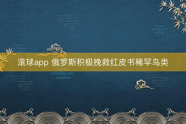 滚球app 俄罗斯积极挽救红皮书稀罕鸟类
