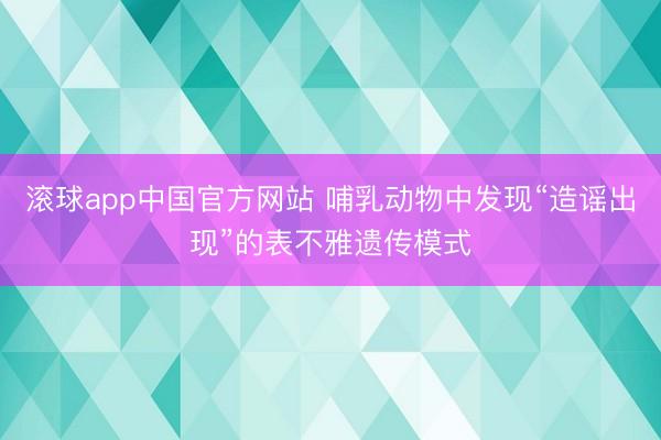 滚球app中国官方网站 哺乳动物中发现“造谣出现”的表不雅遗传模式