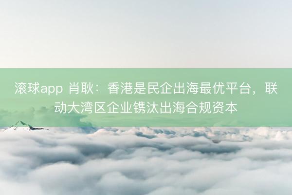 滚球app 肖耿：香港是民企出海最优平台，联动大湾区企业镌汰出海合规资本