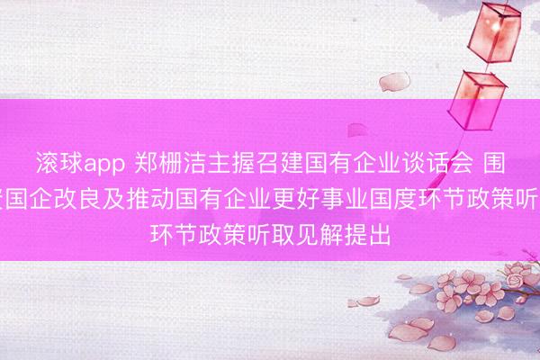 滚球app 郑栅洁主握召建国有企业谈话会 围绕深化国资国企改良及推动国有企业更好事业国度环节政策听取见解提出