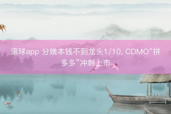滚球app 分娩本钱不到龙头1/10， CDMO“拼多多”冲刺上市