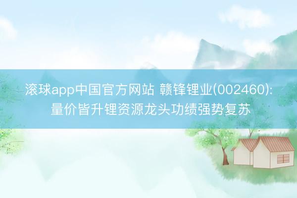 滚球app中国官方网站 赣锋锂业(002460): 量价皆升锂资源龙头功绩强势复苏