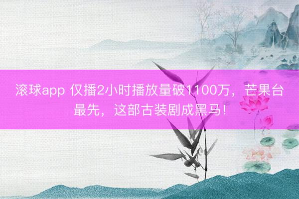 滚球app 仅播2小时播放量破1100万，芒果台最先，这部古装剧成黑马！
