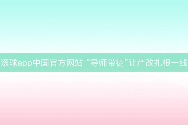 滚球app中国官方网站 “导师带徒”让产改扎根一线