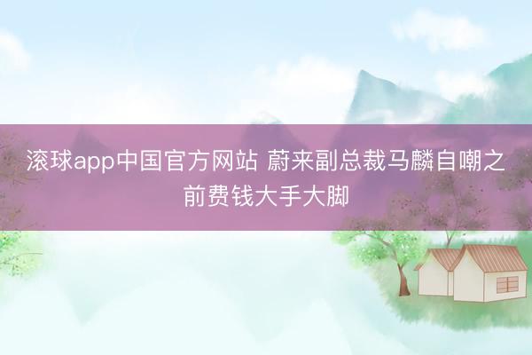 滚球app中国官方网站 蔚来副总裁马麟自嘲之前费钱大手大脚