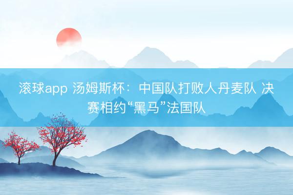 滚球app 汤姆斯杯：中国队打败人丹麦队 决赛相约“黑马”法国队