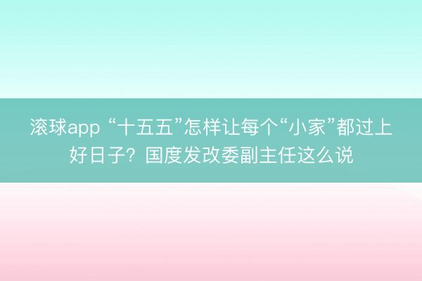 滚球app “十五五”怎样让每个“小家”都过上好日子?国度发改委副主任这么说