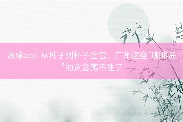 滚球app 从种子到杯子全包，广州这座“咖啡岛”的贪念藏不住了